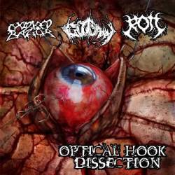 Rott (USA) : Optical Hook Dissection